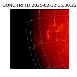 gong - 2025-02-12T15:00:22