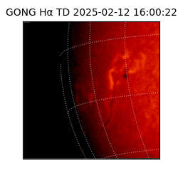 gong - 2025-02-12T16:00:22