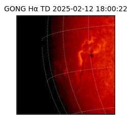 gong - 2025-02-12T18:00:22