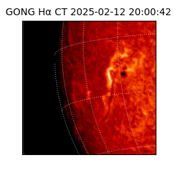 gong - 2025-02-12T20:00:42