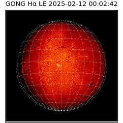 gong - 2025-02-12T00:02:42
