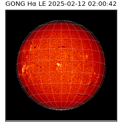 gong - 2025-02-12T02:00:42