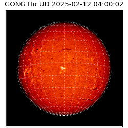 gong - 2025-02-12T04:00:02