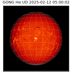 gong - 2025-02-12T05:00:02