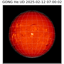 gong - 2025-02-12T07:00:02