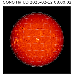 gong - 2025-02-12T08:00:02