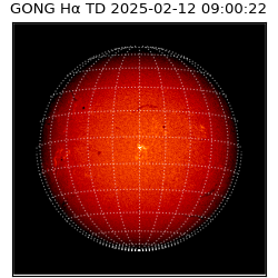 gong - 2025-02-12T09:00:22