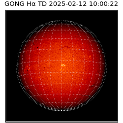 gong - 2025-02-12T10:00:22