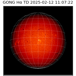 gong - 2025-02-12T11:07:22