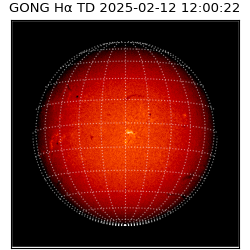 gong - 2025-02-12T12:00:22