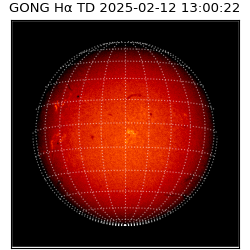 gong - 2025-02-12T13:00:22
