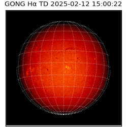 gong - 2025-02-12T15:00:22