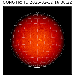 gong - 2025-02-12T16:00:22