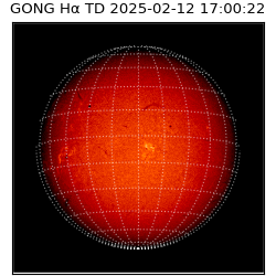 gong - 2025-02-12T17:00:22