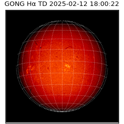 gong - 2025-02-12T18:00:22