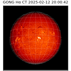 gong - 2025-02-12T20:00:42
