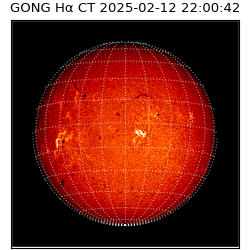 gong - 2025-02-12T22:00:42