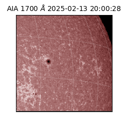 saia - 2025-02-13T20:00:28.717000