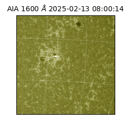 saia - 2025-02-13T08:00:14.125000