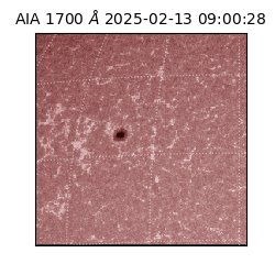 saia - 2025-02-13T09:00:28.717000