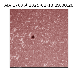 saia - 2025-02-13T19:00:28.717000