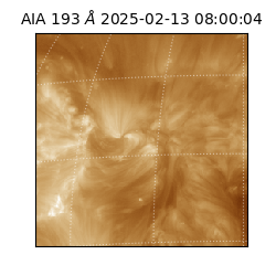 saia - 2025-02-13T08:00:04.843000