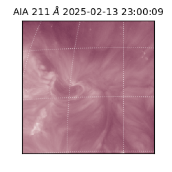 saia - 2025-02-13T23:00:09.632000