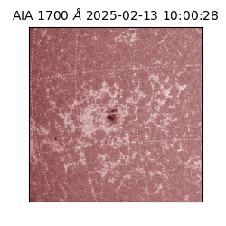 saia - 2025-02-13T10:00:28.717000