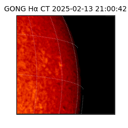 gong - 2025-02-13T21:00:42