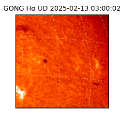 gong - 2025-02-13T03:00:02