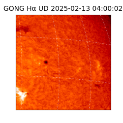 gong - 2025-02-13T04:00:02