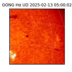 gong - 2025-02-13T05:00:02