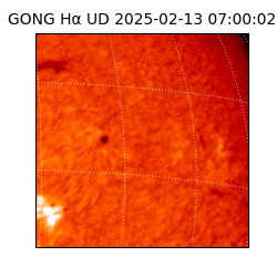 gong - 2025-02-13T07:00:02