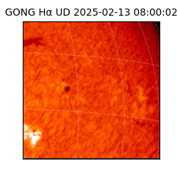 gong - 2025-02-13T08:00:02