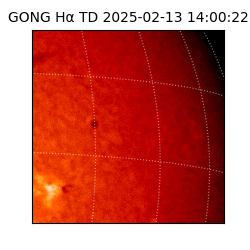 gong - 2025-02-13T14:00:22