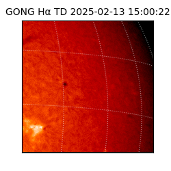 gong - 2025-02-13T15:00:22
