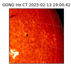 gong - 2025-02-13T19:00:42