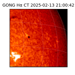 gong - 2025-02-13T21:00:42