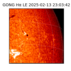 gong - 2025-02-13T23:03:42