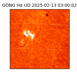 gong - 2025-02-13T03:00:02