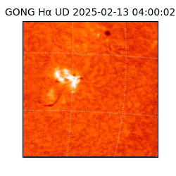 gong - 2025-02-13T04:00:02