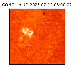 gong - 2025-02-13T05:00:02