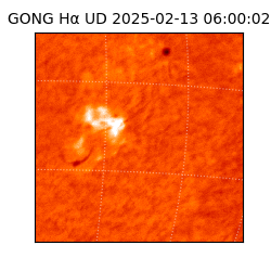 gong - 2025-02-13T06:00:02