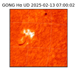 gong - 2025-02-13T07:00:02