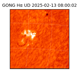 gong - 2025-02-13T08:00:02