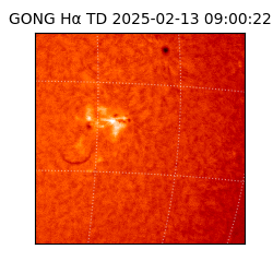 gong - 2025-02-13T09:00:22