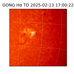 gong - 2025-02-13T17:00:22