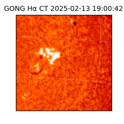 gong - 2025-02-13T19:00:42