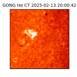 gong - 2025-02-13T20:00:42