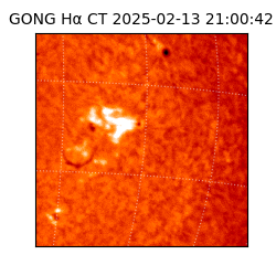 gong - 2025-02-13T21:00:42